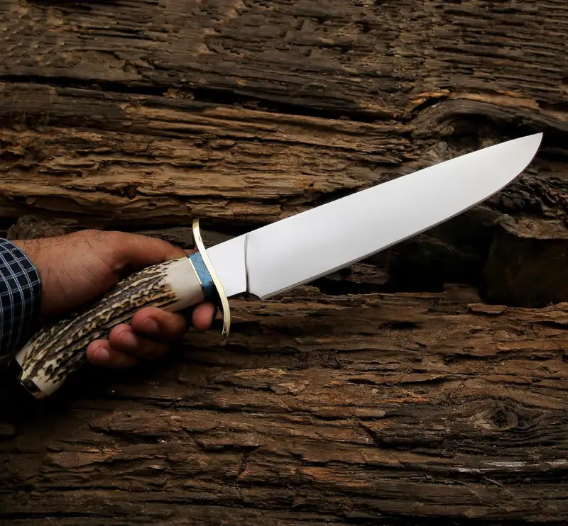 Stag handle knife blade Handmade Stag Handle Bowie Knife for Sale | Stainless Steel Bowie Knife